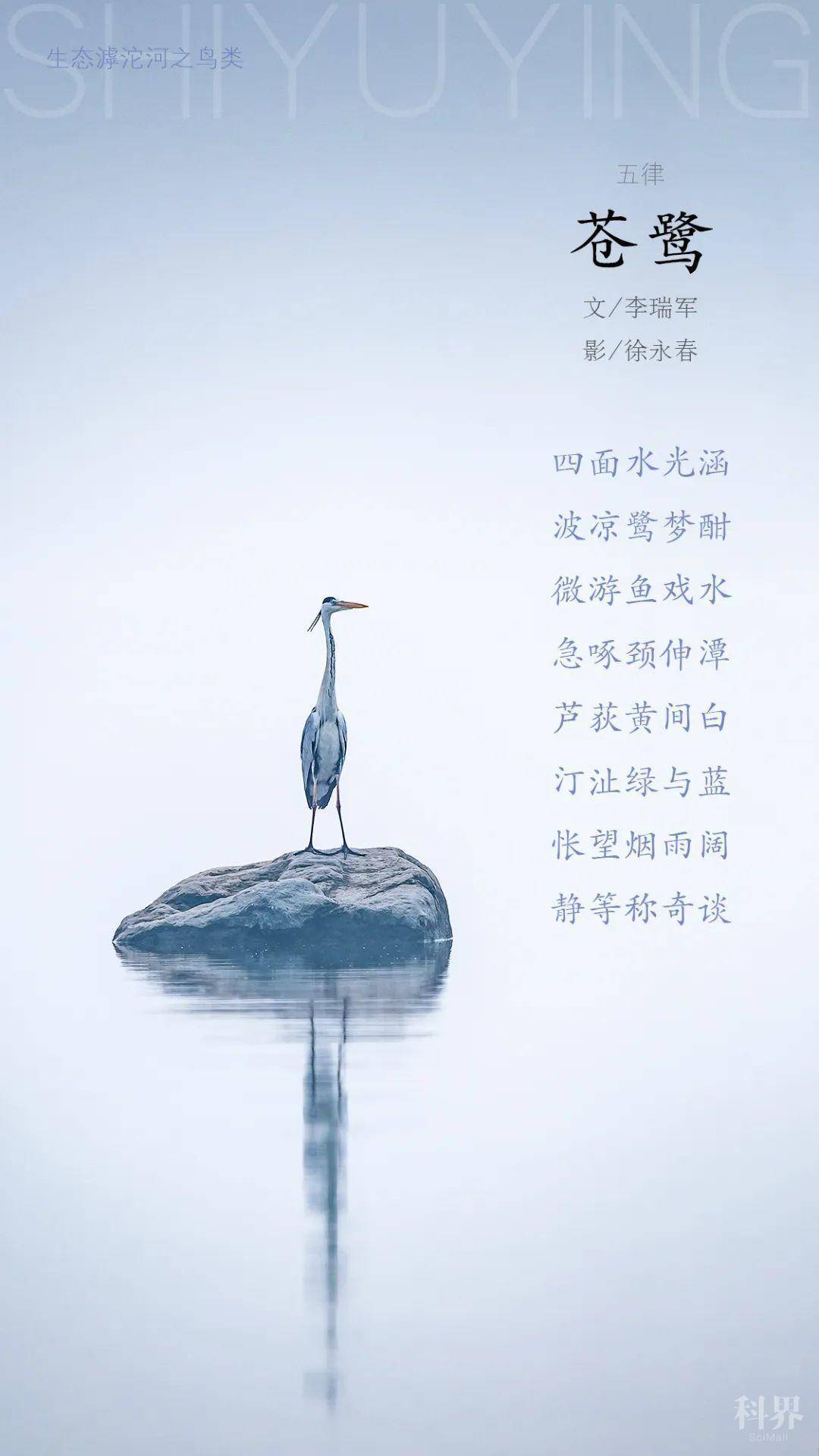 微信号:cwcawx 中国野生动物保护协会 投稿信箱:cwcaweixin@sina.com