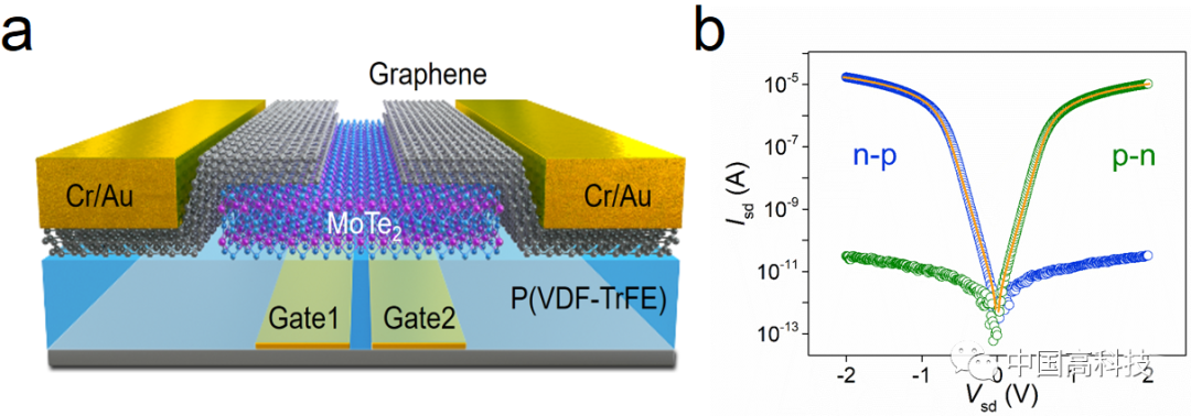 裂栅极化调控的低维半导体p-n结固态结构(自下而上实现) (来源:中国