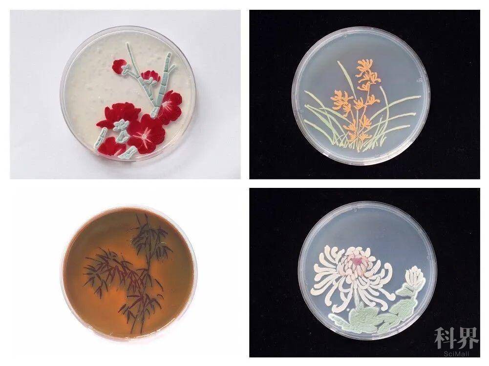 教育目标,丰富课程教学中的美育实践,通过开展形象化教学,实践型教学