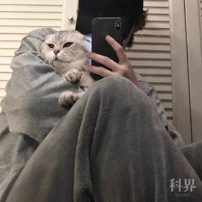 男生撒娇的瞬间,是什么样的?