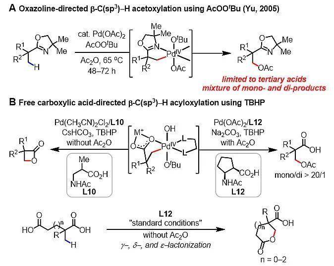 余金权课题组脂肪酸β位直接氧乙酰化反应