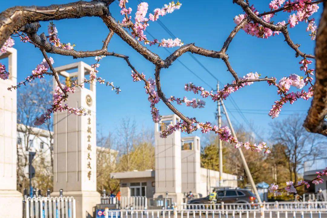 最新 北京高校毕业年级6月6日起可安排返校 中小学 幼儿园这样做 北航在行动 学术资讯 科界