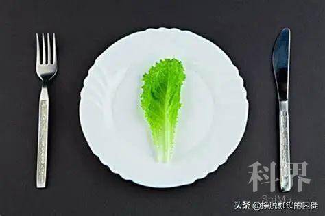 wt_a72392020051080746_25b157.jpg