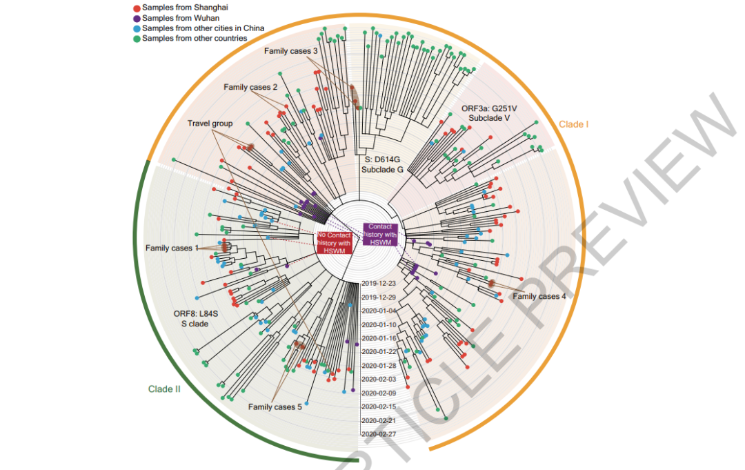 与数据库中的另外221个病毒基因组进行组合,做进化树的分析