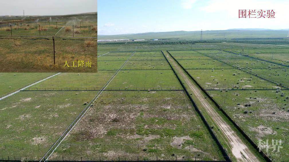 中国科学院动物研究所张知彬研究员,李国梁博士及其合作团队在内蒙古