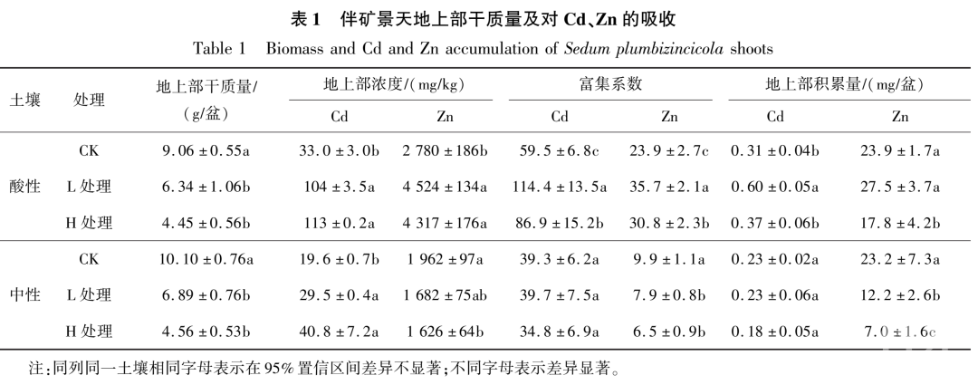 wt_a42302020530160251_bd65df.jpg