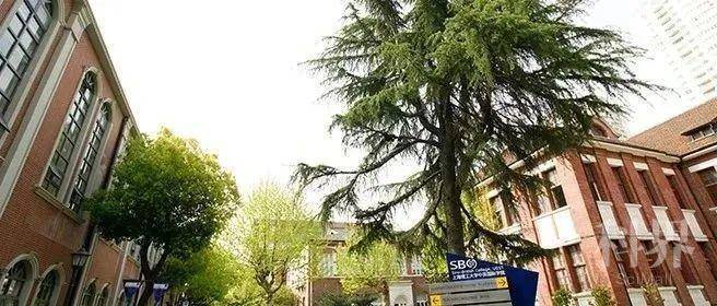 浙江 6月7日上海理工大学中英国际学院线下咨询会预告学术资讯 科界