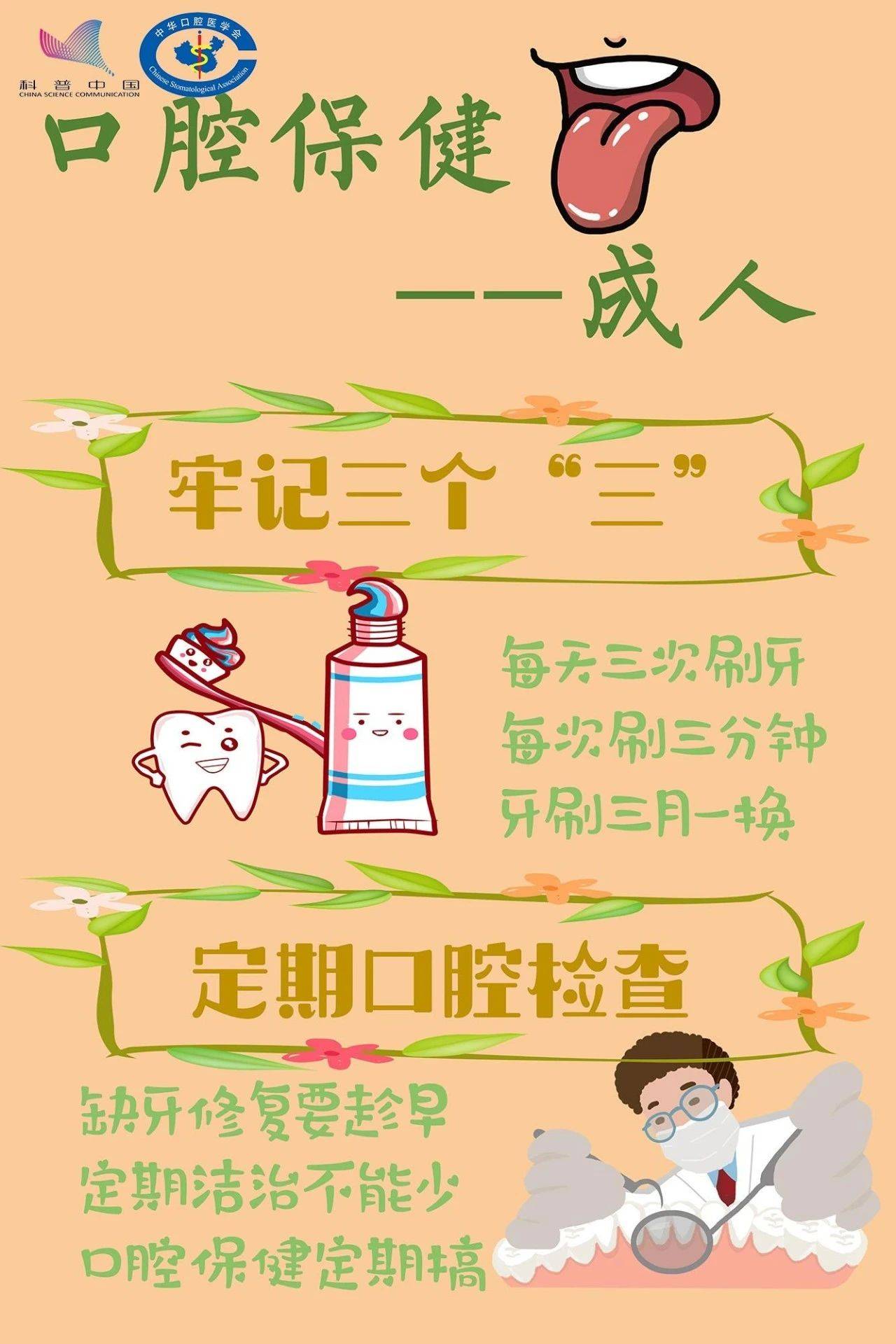 口腔保健——成人 2020-06-09