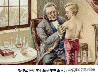 防疫 天花病毒的前世今生学术资讯 科界