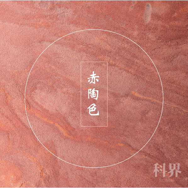 2020秋冬关键色彩——赤陶色