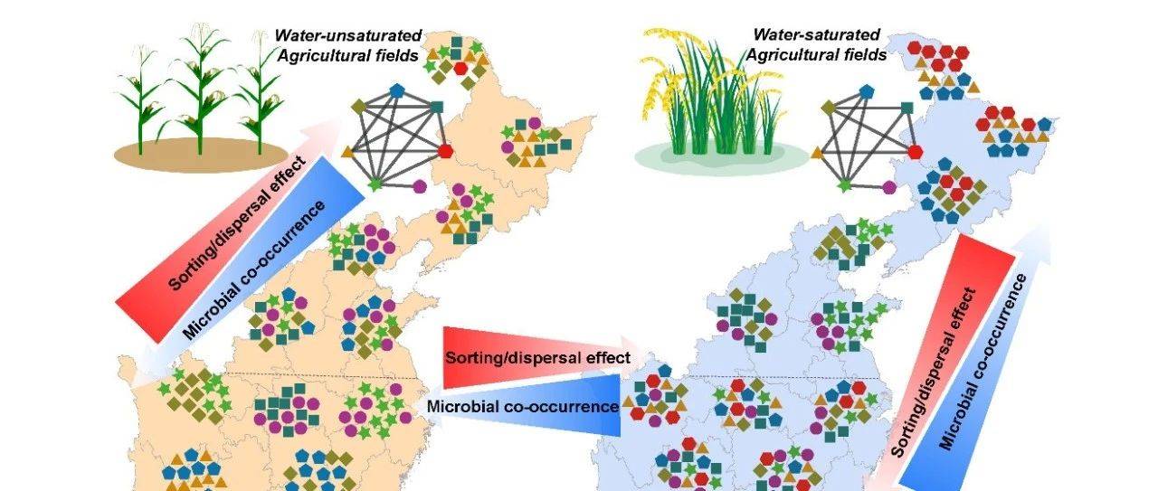 isme:群落构建过程的平衡介导农田土壤微生物群落物种共存 2020-06-21
