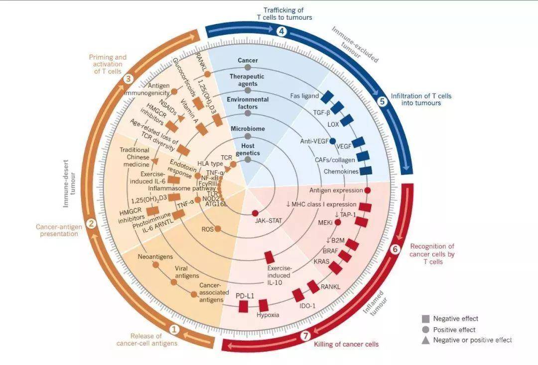 深度长文 详解 人类癌症与免疫治疗发展史 学术资讯 科技工作者之家