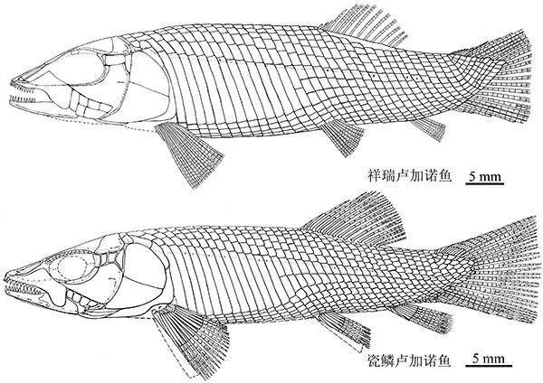 wt_a52362020029170042_a87cb4.jpg