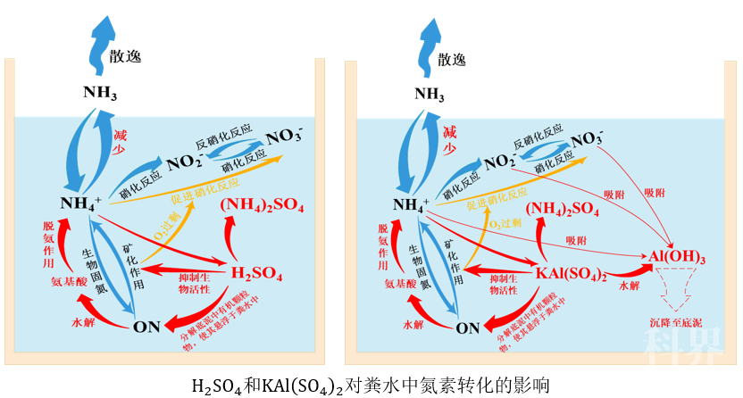 氮的转化关系图方程式图片