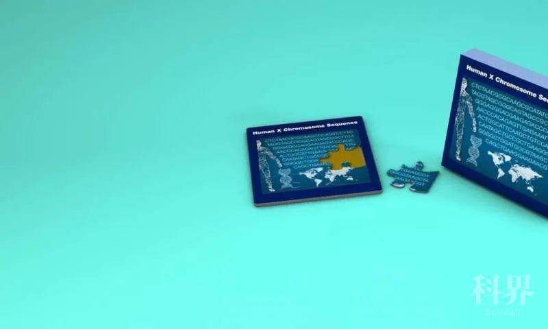 wt_a32302020718033557_d81c52.jpg