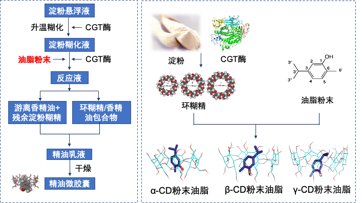 产业化成果 环糊精包合技术生产粉末油脂学术资讯 科技工作者之家