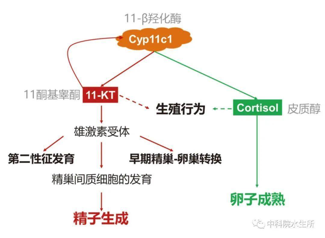 wt_a32302020724220152_0ee6cd.jpg