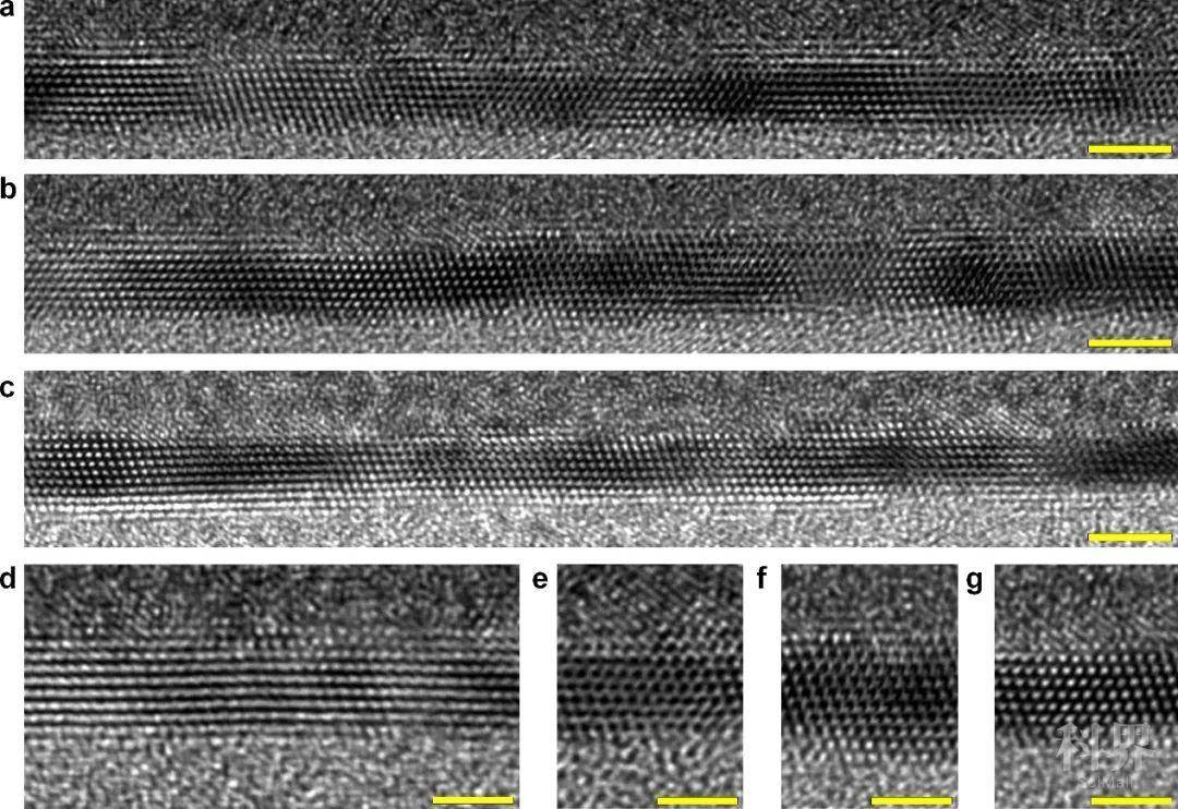 wt_a42302020730142024_82bfd0.jpg