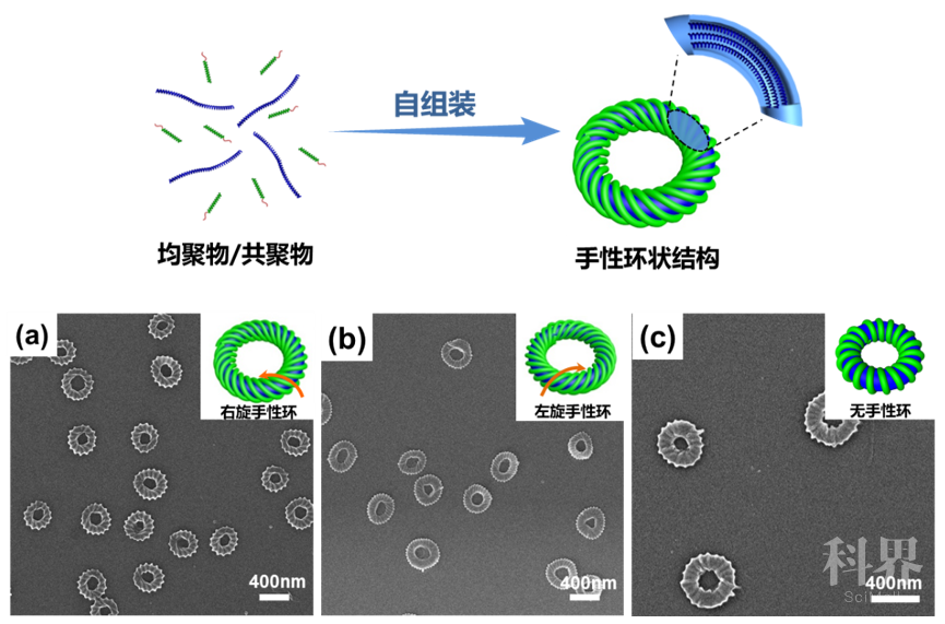 華東理工林嘉平團隊《德國應用化學》:手性環狀納米結構的新發現