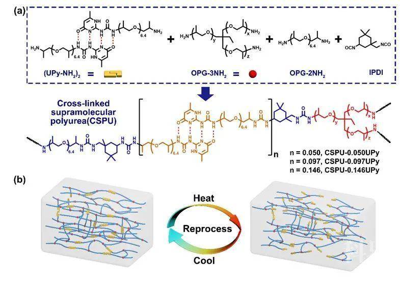 清华大学张希,徐江飞课题组制备高韧性,可循环再生的交联超分子聚脲