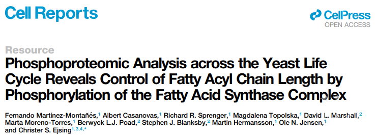 Cell Rep揭示磷酸化对脂质代谢和脂肪酰基链长度的调控作用学术资讯 科技工作者之家