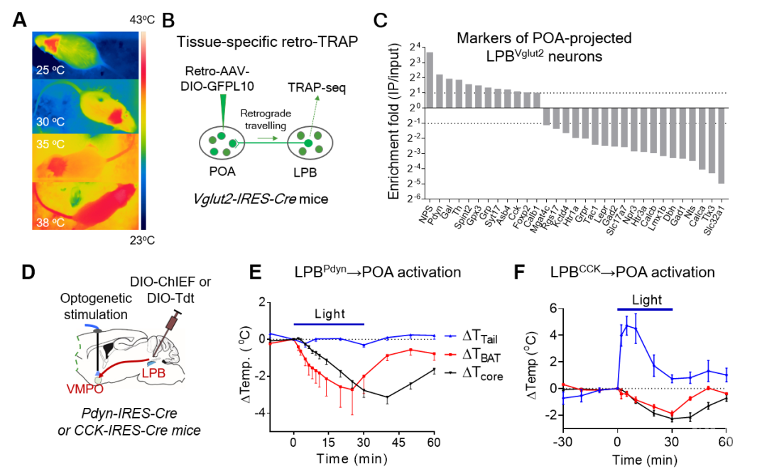 wt_a72352020090075558_e44206.jpg