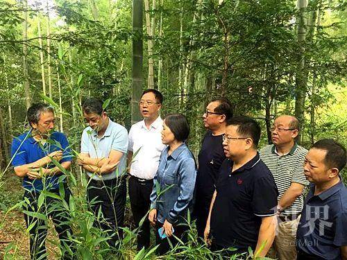 四川惊雷科技股份有限公司_四川惊雷农林科技有限责任公司_四川惊雷科技股份有