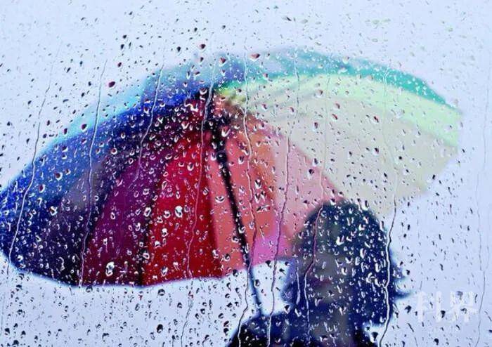 生活雨天打伞有学问优雅粗犷仅一念之隔