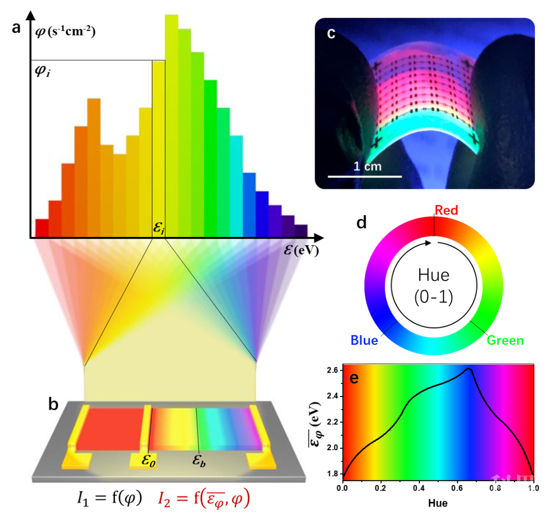 彩虹半导体器件实现基于光谱投影的颜色感知