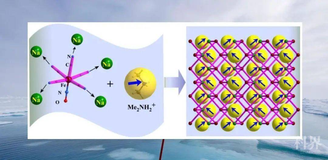 中山大学张伟雄教授课题组:光响应分子铁电体取得重要进展