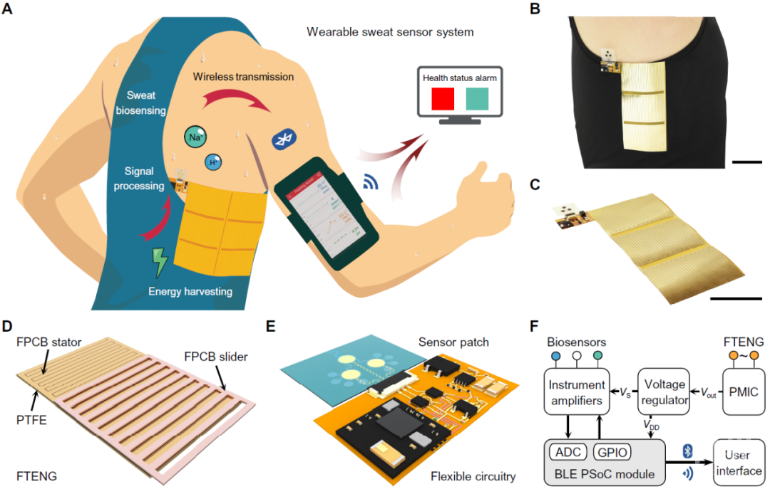 science advances: 人體運動供能無線可穿戴汗液傳感平臺
