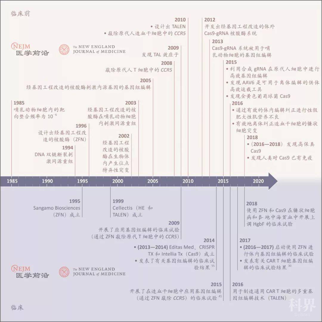 Nejm综述 基因编辑的临床应用学术资讯 科技工作者之家