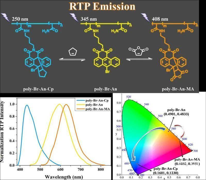理工大学马骧教授团队构建发光可调控的智能纯有机室温磷光聚合物材料