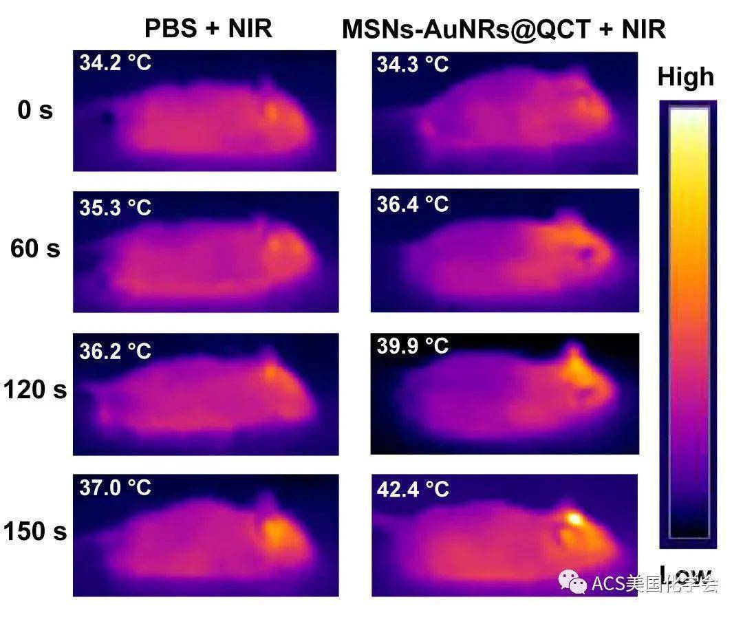 nir-ii 激发的纳米核-壳结构材料作为治疗帕金森病的一种智能平台