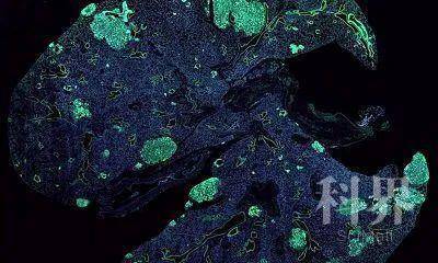 wt_a42312020029200408_8e8dd1.jpg