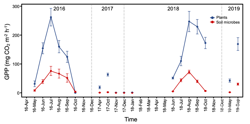 wt_a72312020112214944_817c3d.jpg