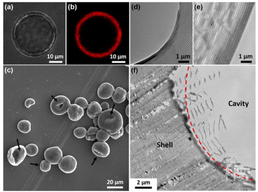 华中科技大学朱锦涛团队《acs nano》玩转聚合物光子晶体微胶囊