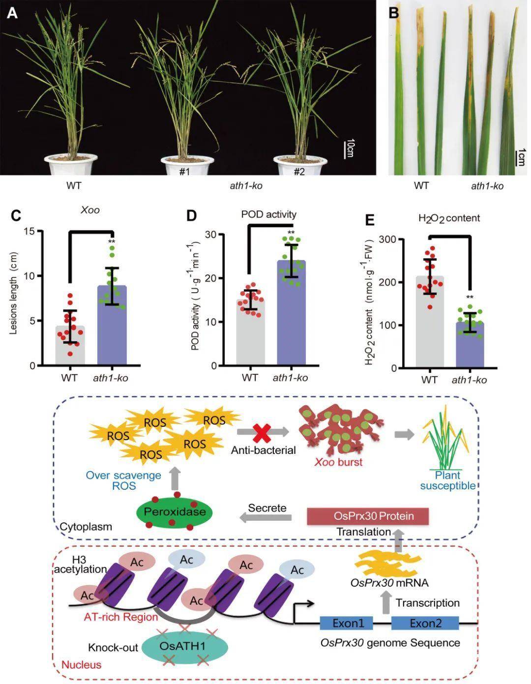 20201128041915_3ab244.jpg-orig