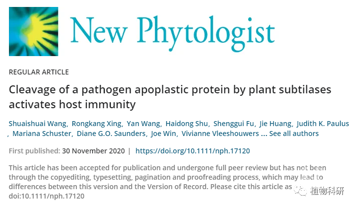 南京农业大学董莎萌团队揭示植物蛋白酶裂解病原体质外体蛋白可激活