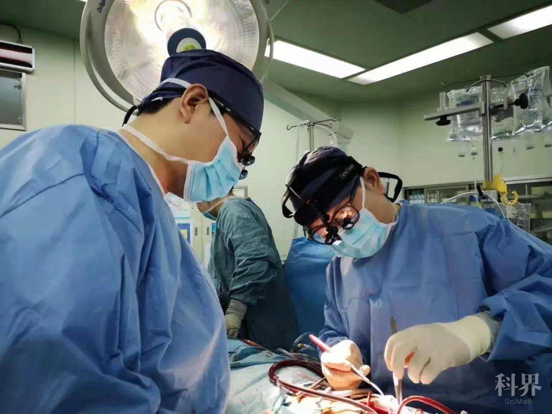 【标杆】上海儿童医学中心心胸外科再探技术高地,"单改双"手术成为