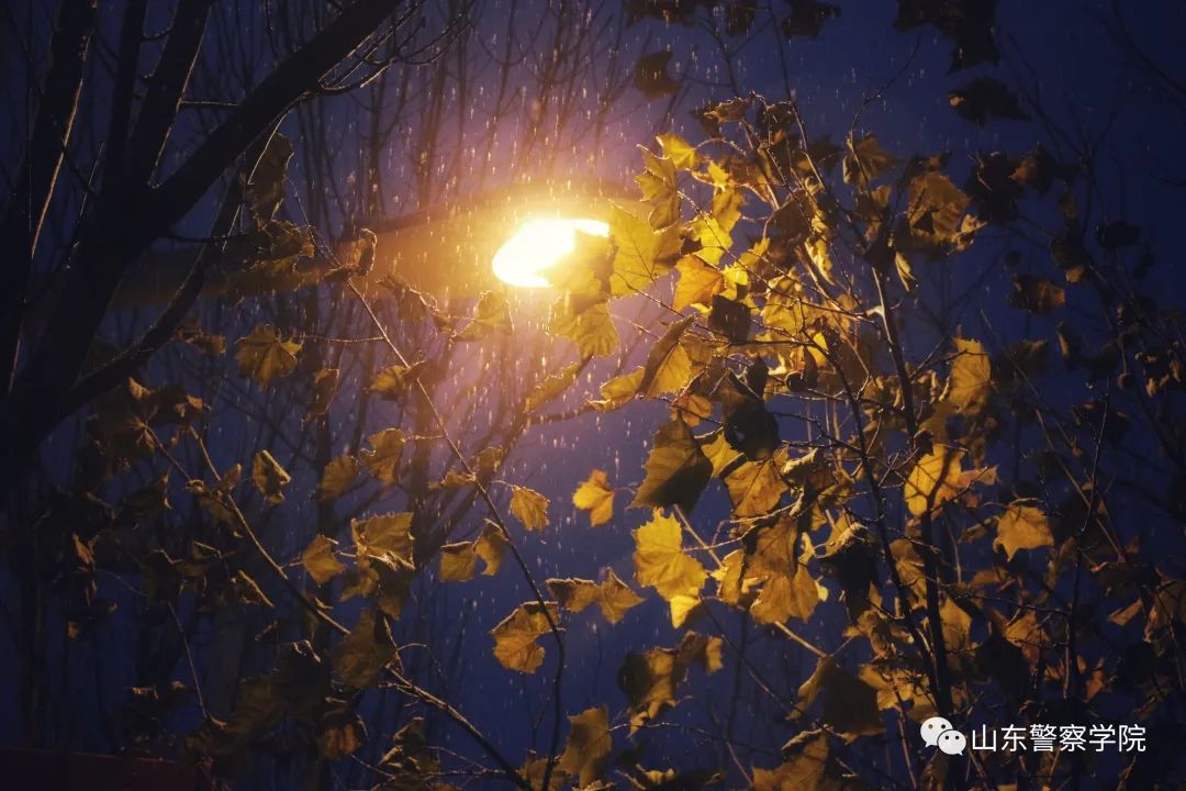 家書|長夜漫漫,敬祝冬綏