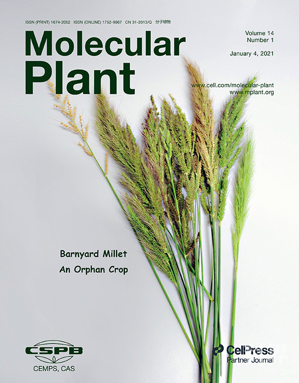 Mol Plant 封面：浙江大学樊龙江综述孤儿作物研究进展 学术资讯 - 科技工作者之家