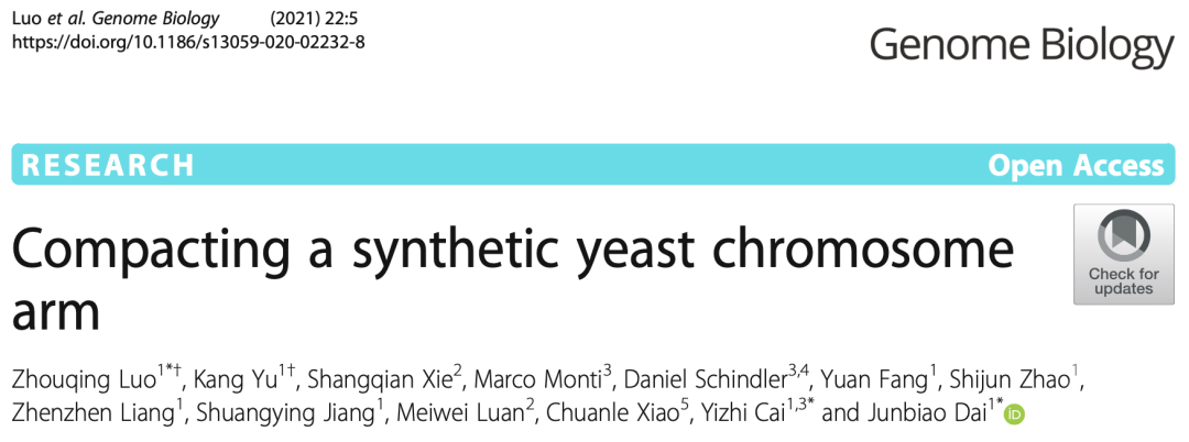 组在genome biology杂志在线发表了题为compacting a synthetic yeast