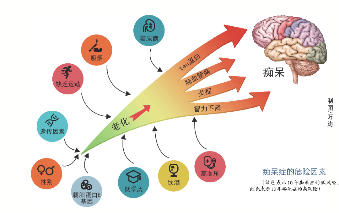 由於人口老齡化,痴呆症患者數量預計將每20年翻一番.