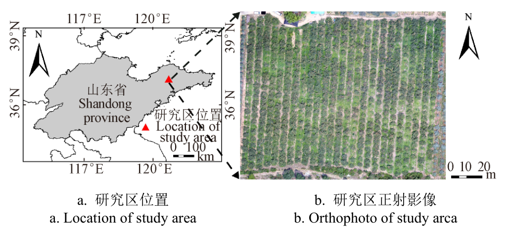 论文精选 无人机机载激光雷达提取果树单木树冠信息学术资讯 科技工作者之家