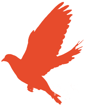 退役保留入学资格相关手续学术资讯 科界