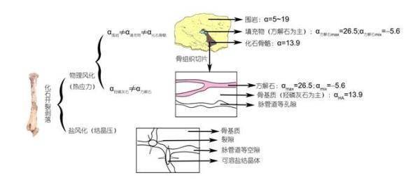 wt_a22322010223164606_ea1cb5.jpg
