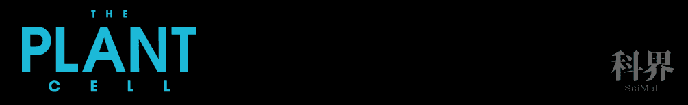 wt_a72372021030230431_f189b9.jpg