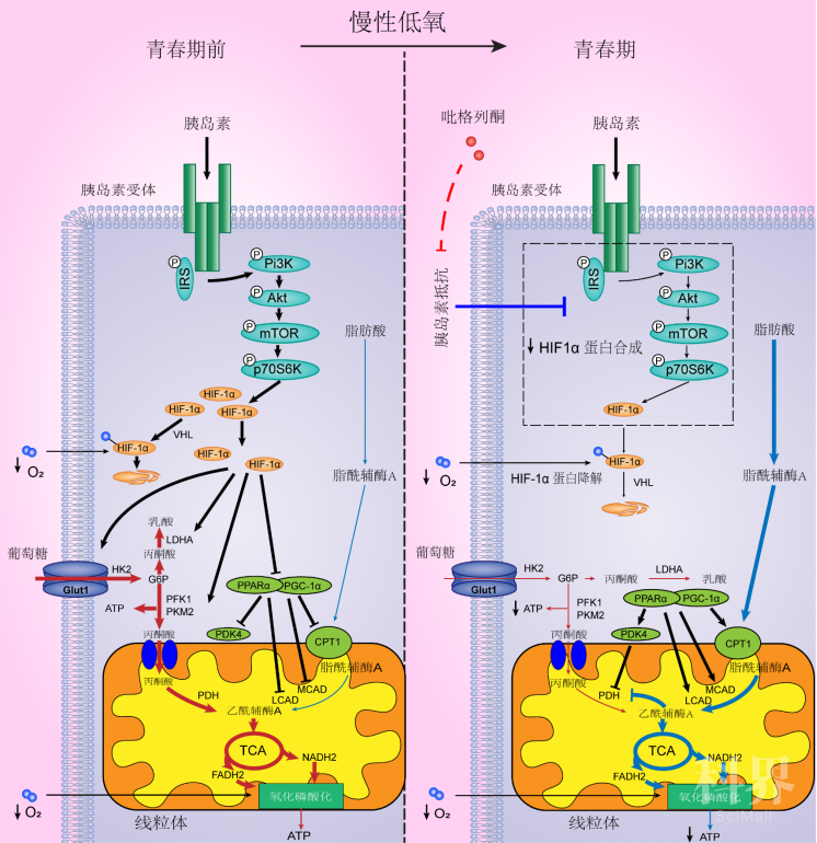 wt_a82302021030835057_136abb.jpg