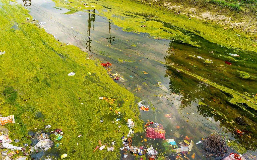 骆马湖水体中药品及个人护理品的污染特征及风险评估